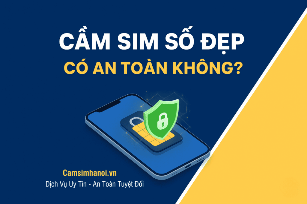 cam-sim-co-an-toan-khong