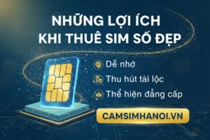 lợi ích khi thuê sim số đẹp